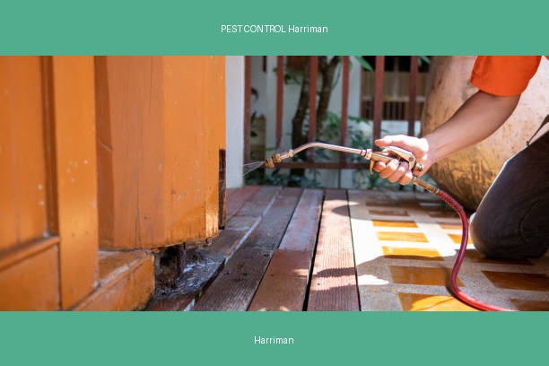 PEST CONTROL Harriman